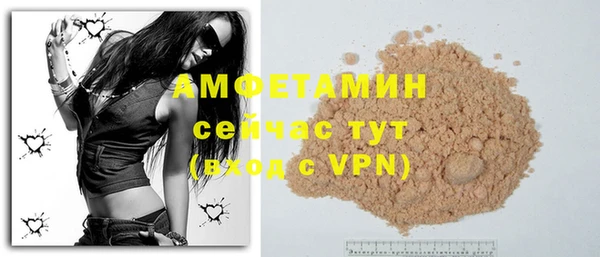 индика Михайлов
