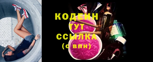 крисы Михайловск