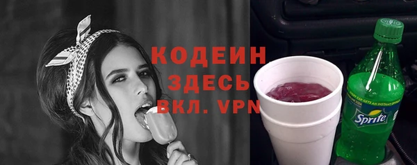 индика Михайлов