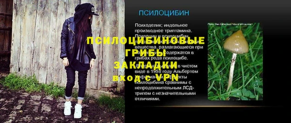 крисы Михайловск