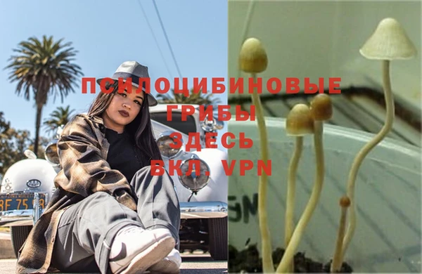 крисы Михайловск