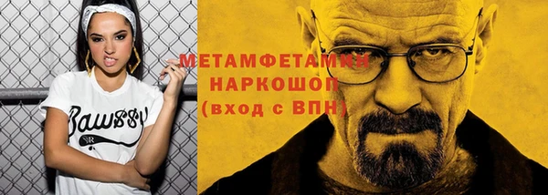 индика Михайлов
