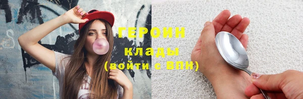 индика Михайлов