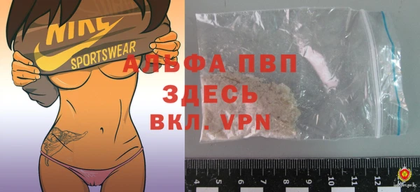 индика Михайлов