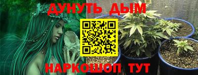 трава Дубна