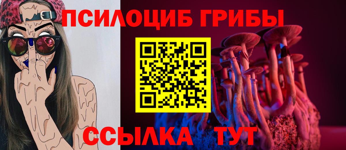Галлюциногенные грибы MAGIC MUSHROOMS  Вход с VPN  Люберцы 
